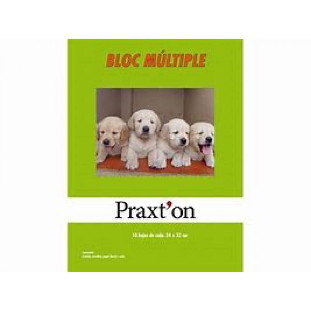 BLOC MANUALIDADES MULTIPLE PRAXTON P 10U