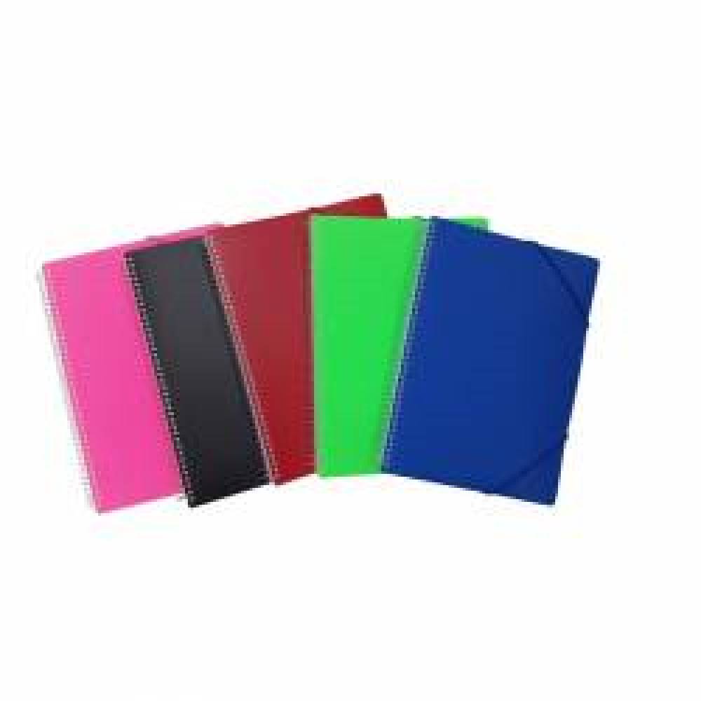 CARPETA 50 FUNDAS ESPIRAL COLORES PRAXTON