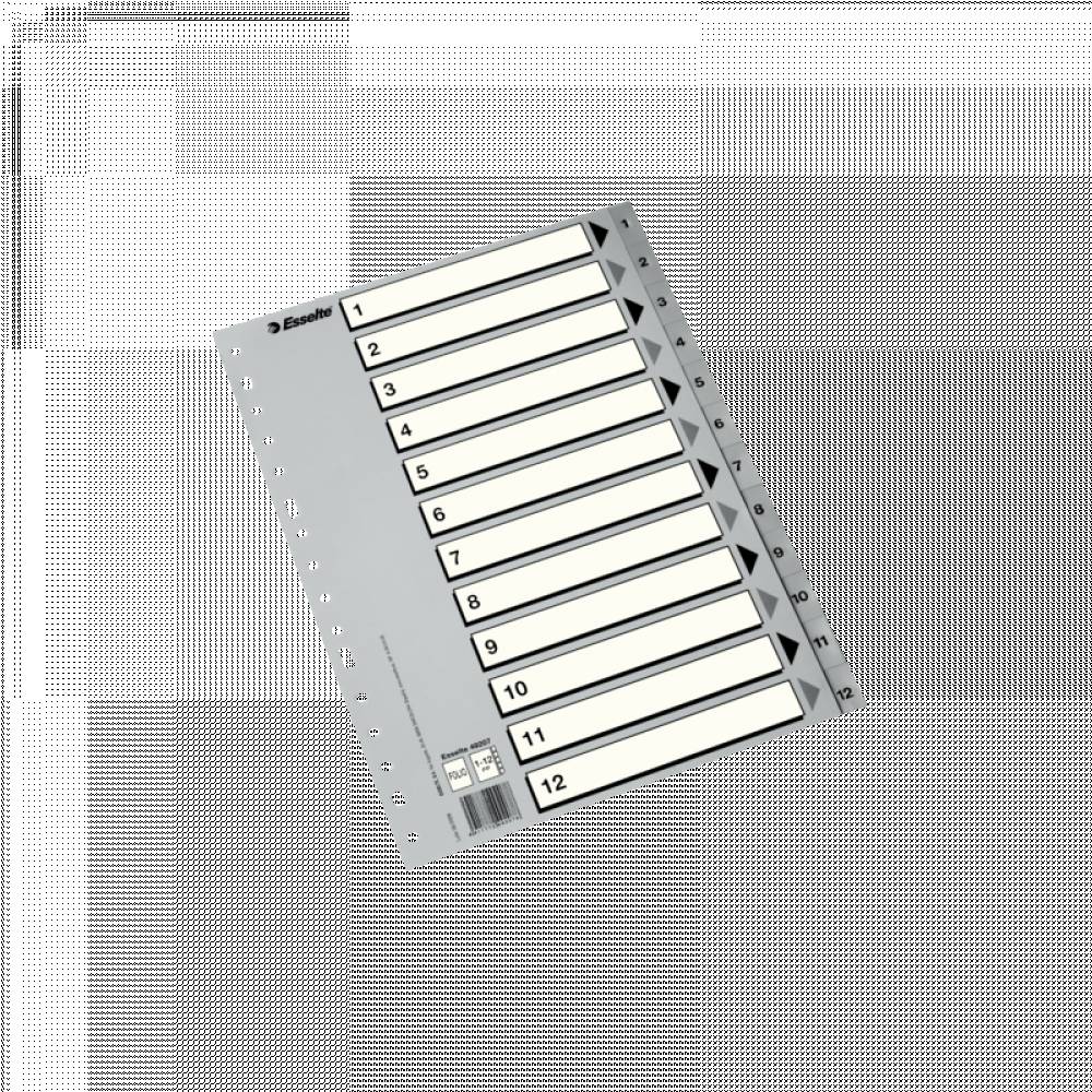 SEPARADORES NUMERICOS FOLIO 1-12 GRIS
