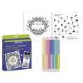 SET LIBRO DE COLOREAR CON 12 LAPICES BICOLOR